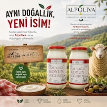 Alpoliva Koyun Yoğurdu 2 Adet 650 G 1.300g