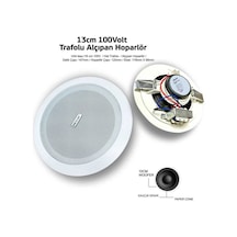 Dexun 13 Cm 30w Tavan Hoparlör 100v Hat Trafolu Alçıpan Hoparlör - 9048412021368