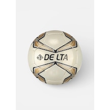 Delta Pro Master Futbol Topu No 5 Çok Renkli