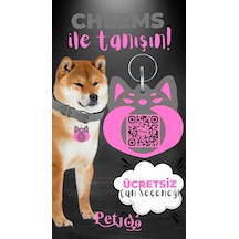 Petjoo 18.Cheems Pembe-Gri Qr'lı Köpek Künyesi