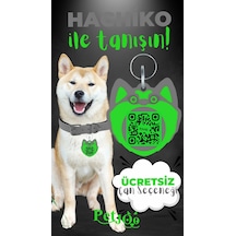 Petjoo 19.Hachiko Yeşil-Gri Qr'lı Köpek Künyesi