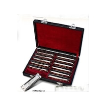Valencıa Hm1020-12 Mızıka Set 12' Li Mızıka Set 12 Li