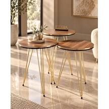 Odera Çift Ceviz Yuvarlak Zigon Sehpa 3'lü Set Metal Tel Ayaklı Modern Retro Salon Sehpası Diğer
