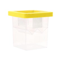 Homyl Yüzen Balık Yetiştiricisi Kutusu Palyaço Balığı,