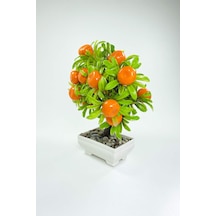 Dekor Ağaç Portakal Ağacı Saksılı Dekoratif Ağaç Biblo 24x13 Cm Diğer