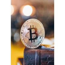 Sylar Bitcoin Madeni Hatıra Parası Madeni Bitcoin Hediye Sikke Para