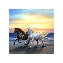 5d Elmas Boncuk Taş Işleme Mozaik Goblen Kit 30x30cm Ms20087 Diamond Painting