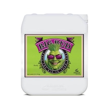 Advanced Nutrients Big Bud 10 Litre Bitki Hasat Arttırıcı 10 L