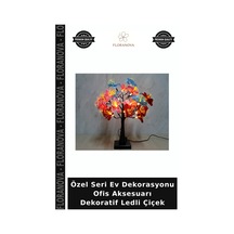 Çok Renkli