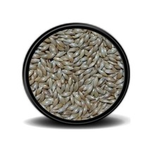 Pets Clup Sade Kanarya Yemi 500 G Açık