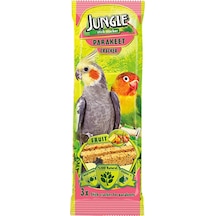 Jungle Paraketler İçin Meyveli Kuş Krakeri 3 Adet