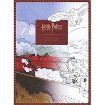 Harry Potter Poster Boyama