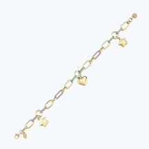 Altınbaş Altın Kalp Zincir Bileklik Blls0148-24839 Renkli