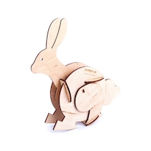 Stemist Box Gravity  Toy