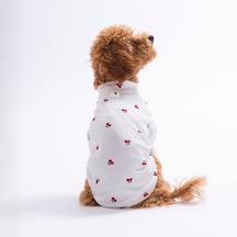 Cherry Bloom Kiraz Desenli Kedi Köpek Sweati - Kedi Köpek Kıyafeti-kedi Köpek Sweati