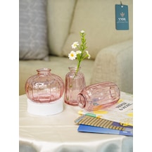 Chacha Home Modern 3'lü Minimalist Cam Çiçek Vazosu Dekoratif Masa Üstü Vazo Seti Açık Pembe