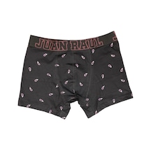Küçük Patlıcan Desenli Erkek Boxer - Db189 DESENLİ