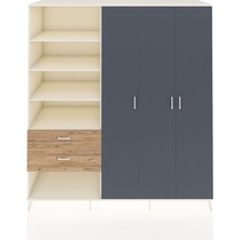 Antrasit - Atlas Çam