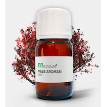 Nnflavours Meşe Aroması 20 ML