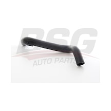 Bsg Radyator Hortumu Alt - R9/r19 85-