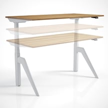 Regula Desk Dandy M - Elektrikli Yükseklik Ayarlı Çalışma Masası, Sıradışı Tasarım, Çift Motorlu Bluetooth K Diğer