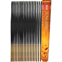 Hem Tütsü Ginger 20 Çubuk