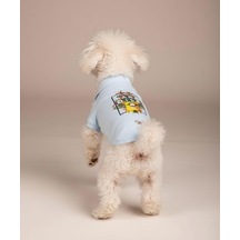 Miniş Paradise Küçük Irk Köpek Pike Kumaş Polo T-shirt-21594