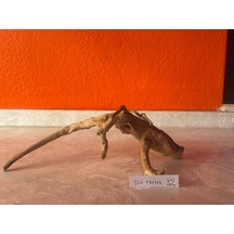 Yati Kökü No:403a 37x19x10h
