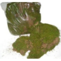 Kuru Bitki Yosun Pk 1 Kg. Çok Renkli