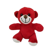 Peluş Oyuncak Ayı Diğer