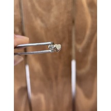 316 L Cerrahi Çelik Tragus Helix Kıkırdak Conch Minimal Kalp Piercing Çok Renkli