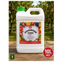 10 L