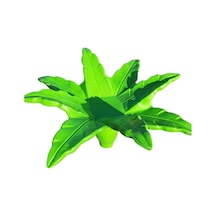Çok Renkli