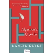 Algernona Çiçekler - Yqbx-667979