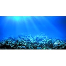 Kanki Pet 125 cm KP1256322 Akvaryum Arka Fon Yapıştırma 125x63 cm