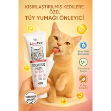 Lion Paw Sterilised Kısır Kediler Tüy Yumağı Önleyici Malt Macun 100 G
