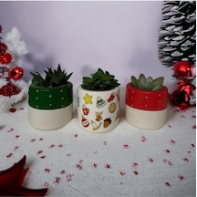Yılbaşı Hediyesi/ Çoklu Yılbaşı Desen Baskılı 3lü Saksı Seti Yılbaşı Hediyesi/ Çoklu Yılbaşı Desen Baskılı 3lü Saksı Seti