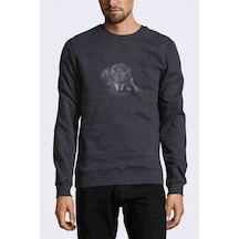 Sad Wolf Baskılı Füme Antrasit Erkek Örme Sweatshirt