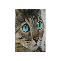 Bedeko Mavi Gözlü Kedi Art Mdf Tablo 35 Cm X 50 Cm