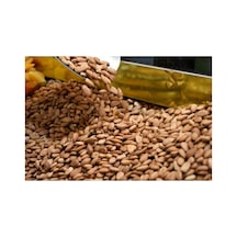 Gün Kurusu Kayısı Tatlı Çekirdeği 1 Kg Diğer