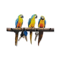 CajuArt Dal Üstünde Üç Renkli Papağan Anahtarlık Hol Duvar Askılık Süs Diğer