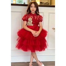 Riccotarz Kız Çocuk Fransız Nakış İşlemeli Gömlek Ve Kat Kat Tüllü Kırmızı Etekli Takım 001