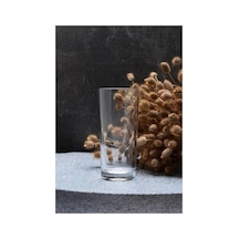 52138 Rakı Ve Limonata Bardağı 175 Cc 6'lı