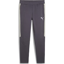 Puma Erkek Sweat Pant Evostrıpe Pants 68170269 001