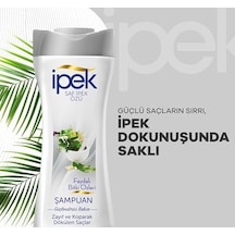 Faydalı Bitki Özleri Şampuan 480 Ml