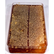 Gökmen Fenni Petek Çam Balı (1 KG)