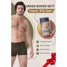 Mercan 3 Lü Haki Modal Boxer