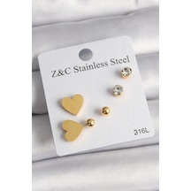 316l Çelik Gold Renk Zirkon Taşlı Kalpli Kadın Küpe Seti Çok Renkli