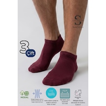 Socketta 3'lü Bordo Erkek Modal Dikişsiz Esnek Patik Çorap - Premium Bordo