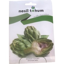 Enginar Atalık Tohumu 3 Paket